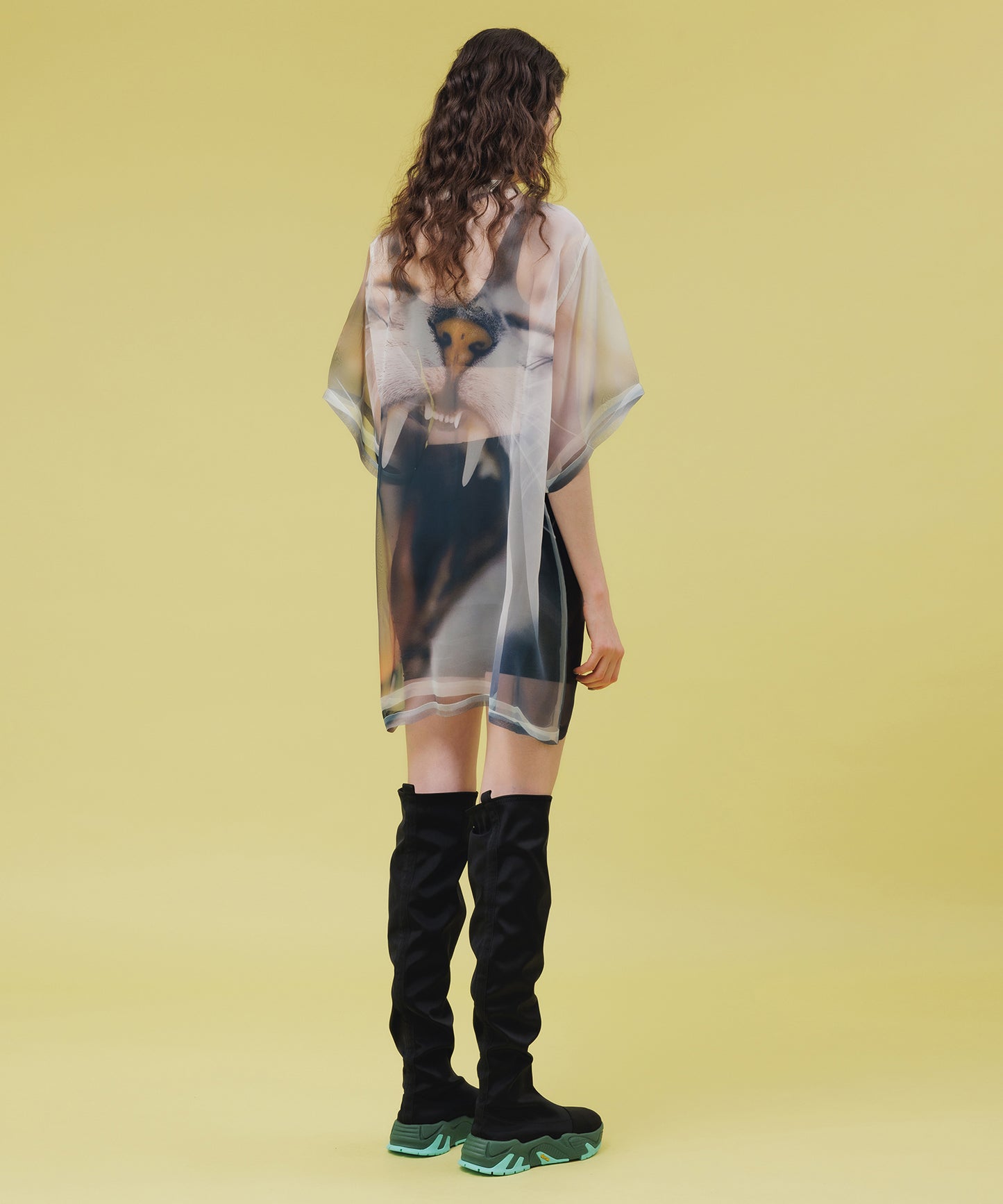 DIRECT PRINT SHEER T-SHIRT【納期4月下旬】