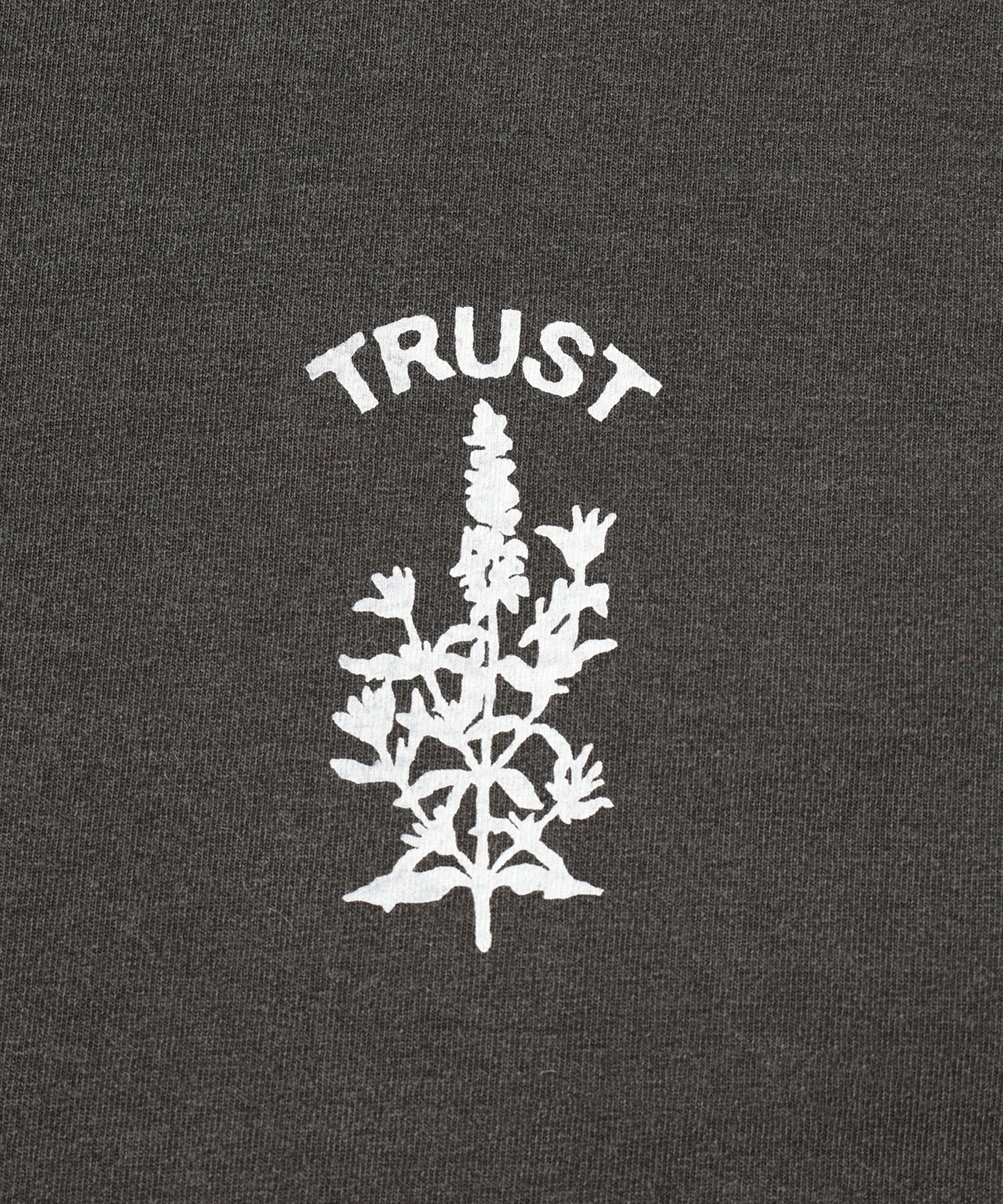 PIGMENT TRUST PRINT TEE