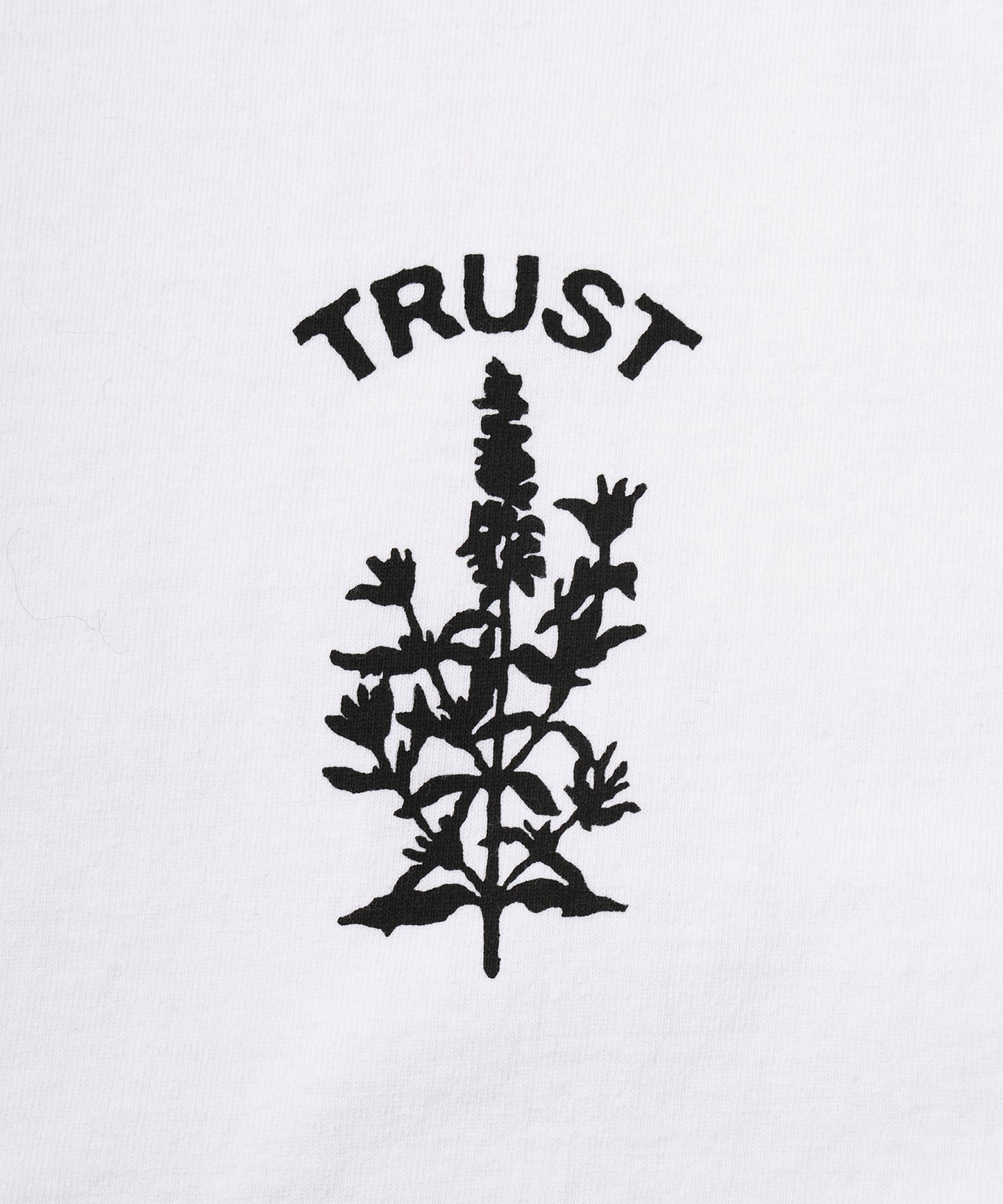 PIGMENT TRUST PRINT TEE