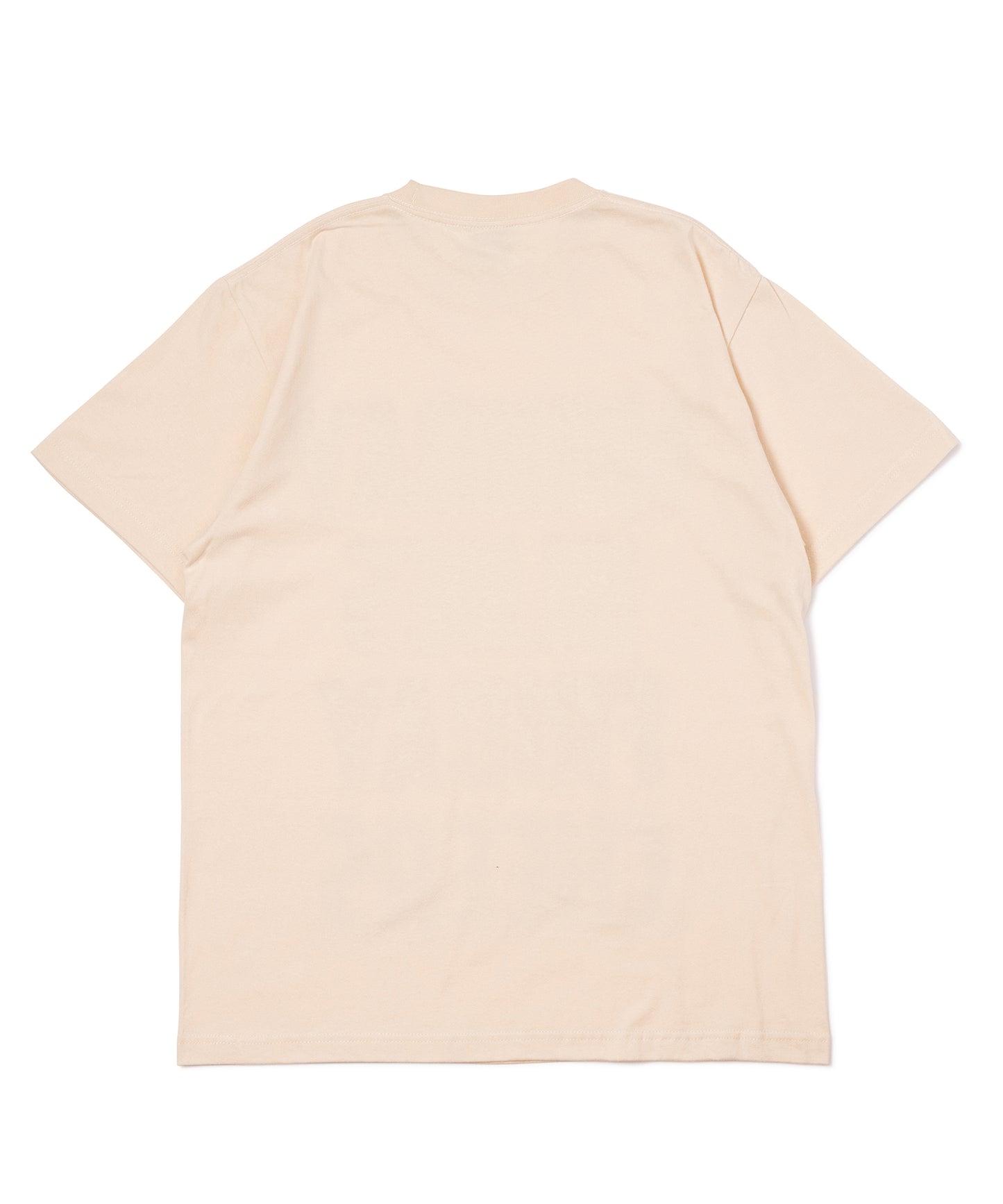 PRINT T-SHIRT(LETTERING)