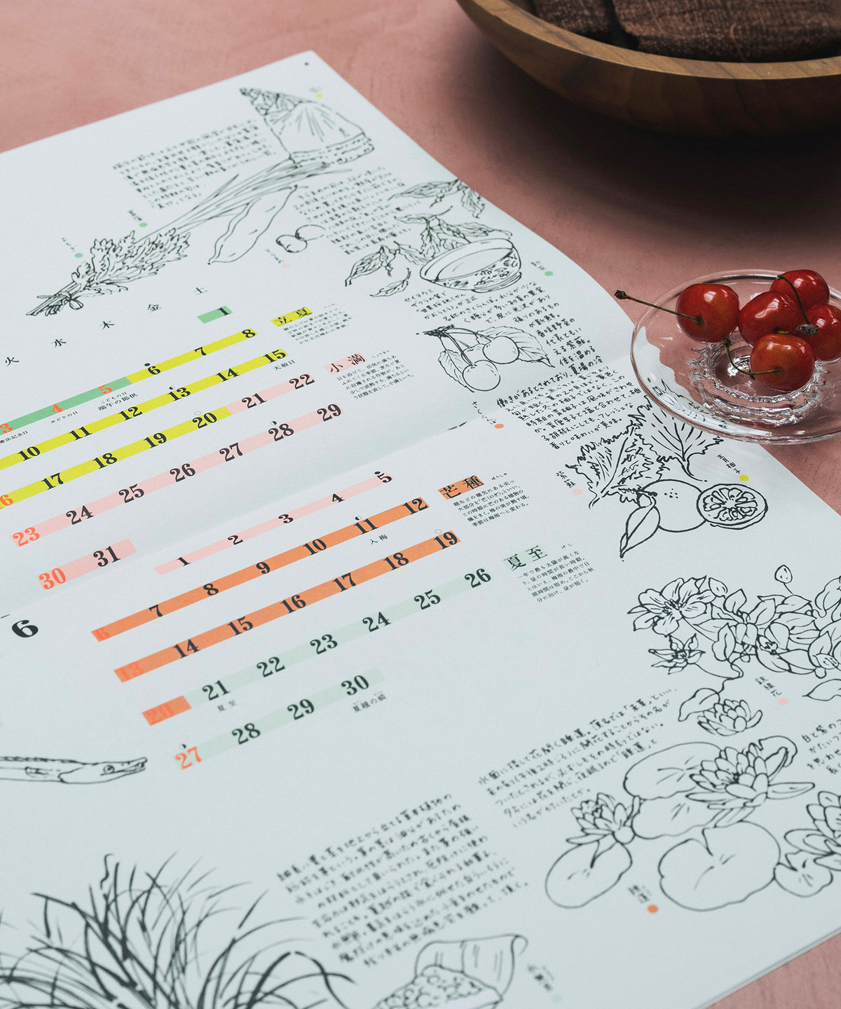 2027 カレンダー 「 2027 二十四節気カレンダー 」 Design :Asako Koyama