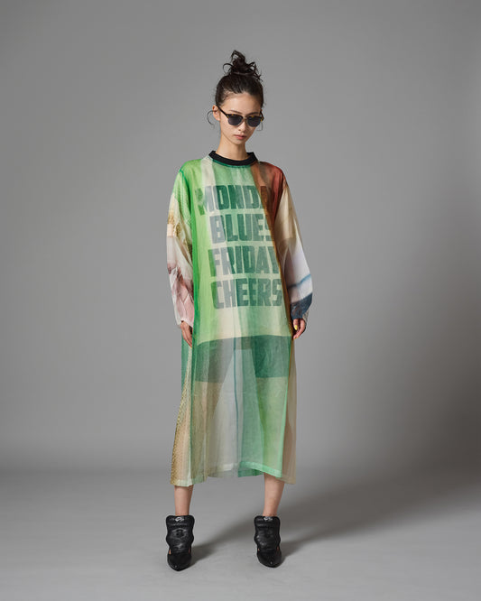DIRECT PRINT SHEER ONE-PIECE