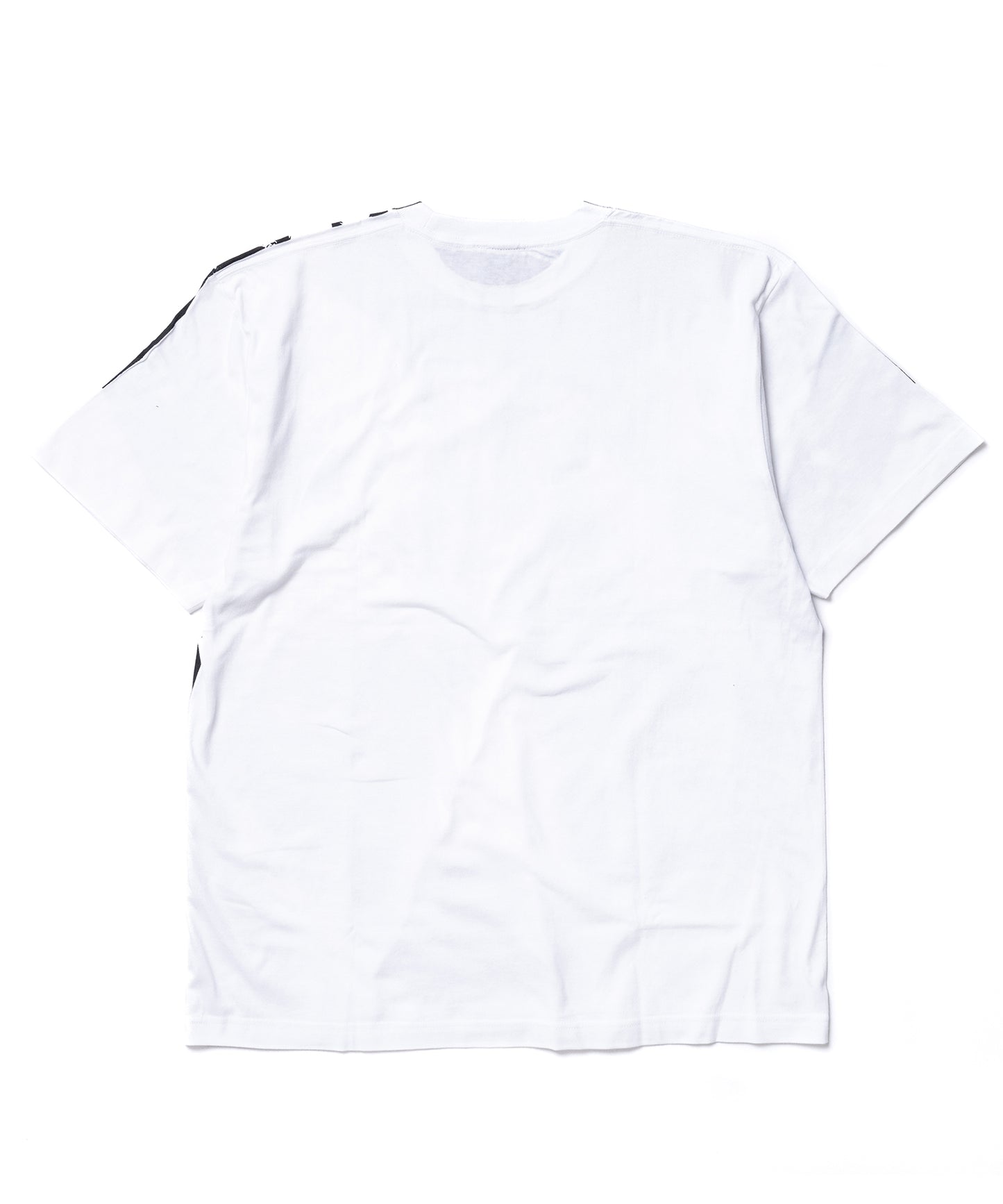 PRINT BIG T-SHIRT(fox)