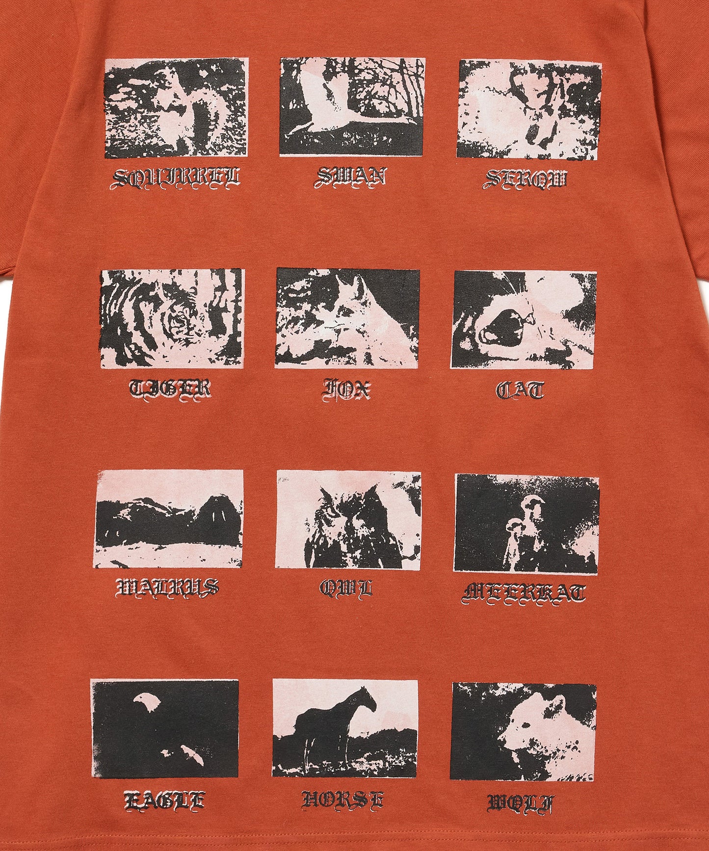 PRINT H/S T-SHIRT(ANIMAL)